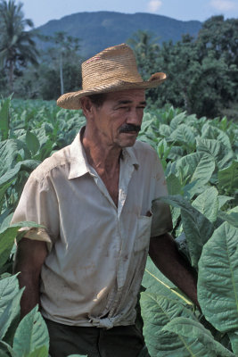 CUB 051 Pinar del Rio Tobacco Farmer.jpg