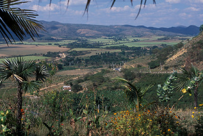 CUB 074 Trinidad Sugar Cane Farm.jpg