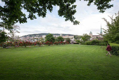 6d__MG_1429.jpg