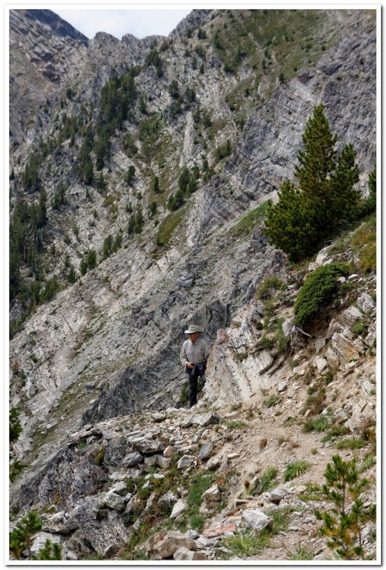 The Trail Down to Upper Seymour