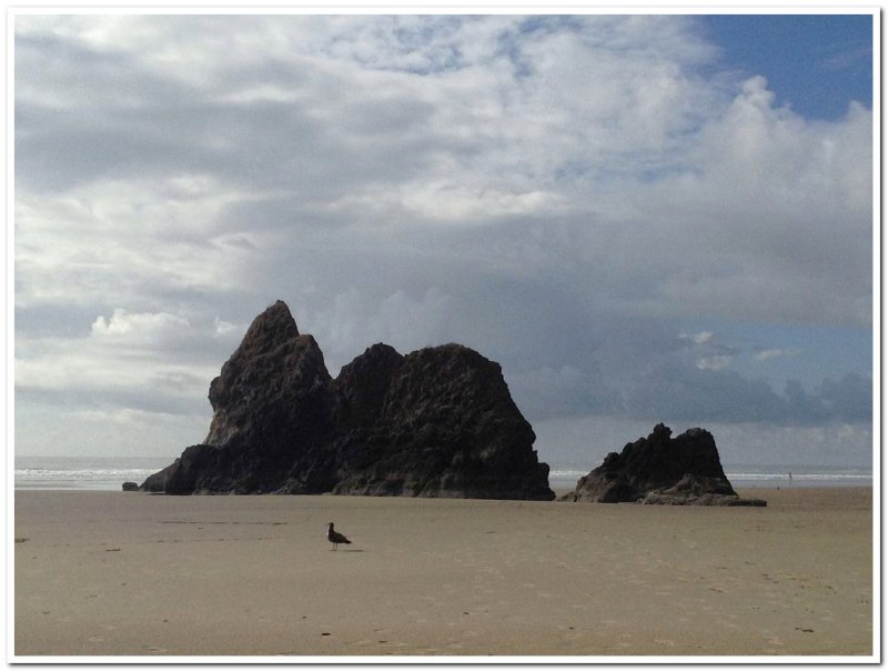 Cannon Beach 3