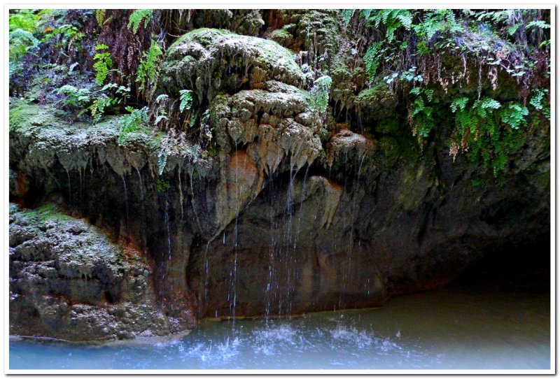 Virgin River Narrows 6, Zion National Park