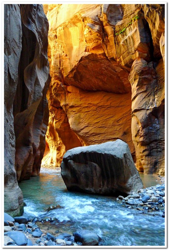 Virgin River Narrows 8, Zion National Park