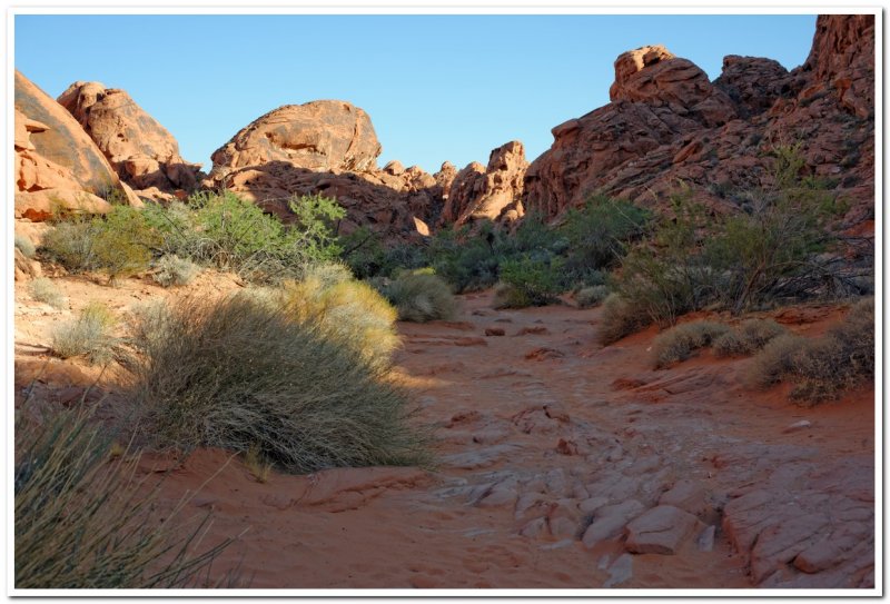 Mouse Tank Trail 1, Valley of Fire, Nevada