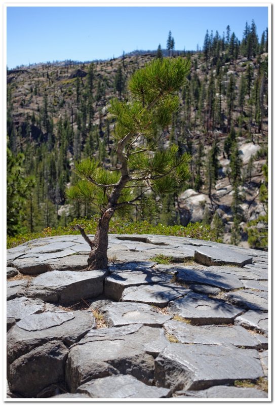 Devil's Postpile 4, Mammoth Lakes, California