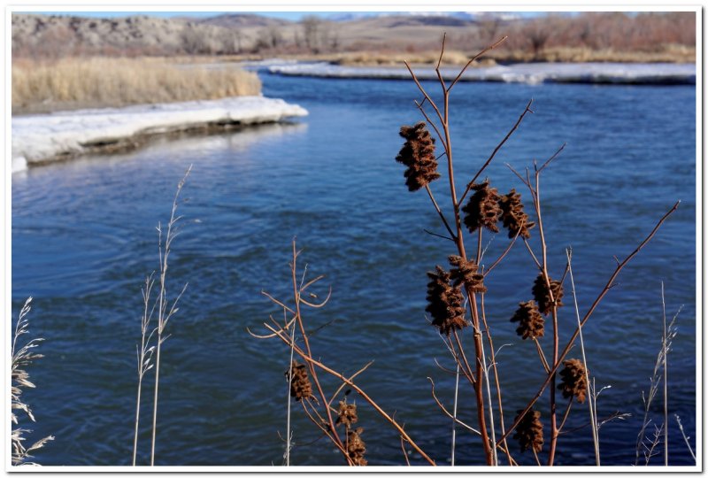 Missouri Headwaters, East Gallatin Riverside