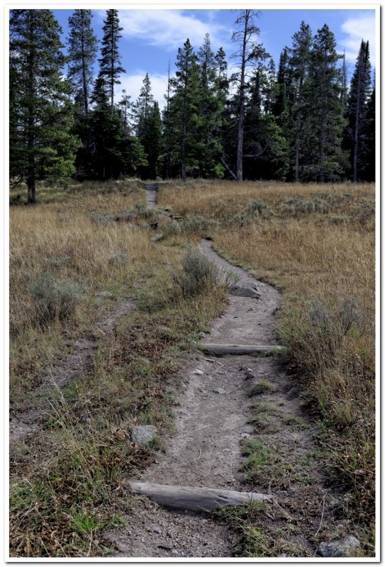 Connector to Wapiti Trail