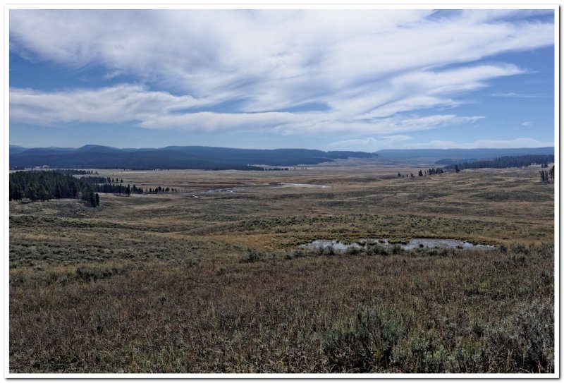 Looking into Hayden Valley