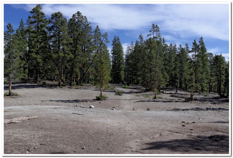 Thermal Area Along Wapiti Trail