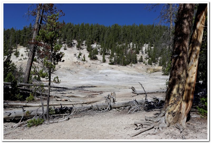 Thermal Area Along Wapiti Trail 4