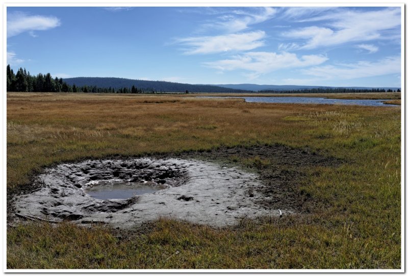 Thermal Area at the Edge of Hayden Valley