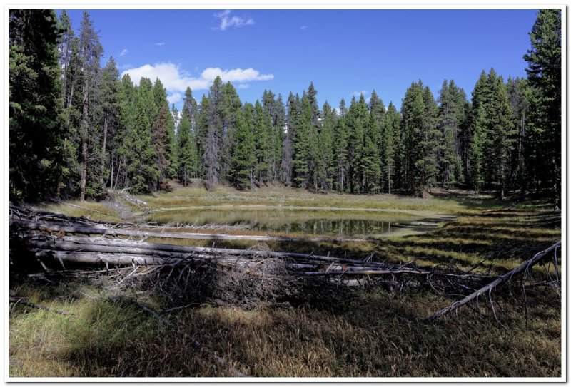 Unnamed Lake Near Ribbon Lake