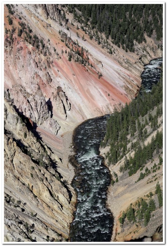 Yellowstone River from Sublime Point Trail