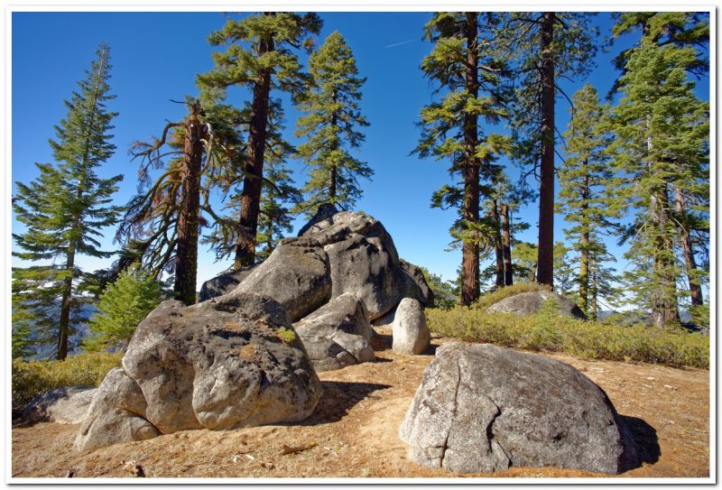 Along Pohono Trail