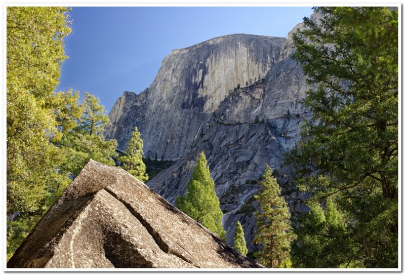Half Dome from Tenaya Creek
