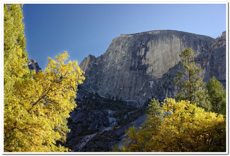 Half Dome from Tenaya Creek