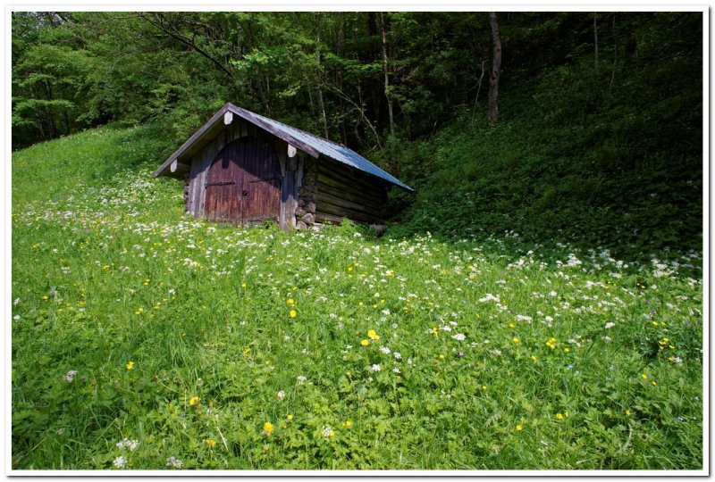 Near Partnach Gorge, Garmisch-Partenkirchen