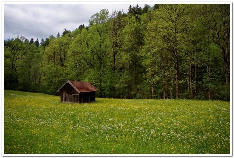Bavarian Countryside
