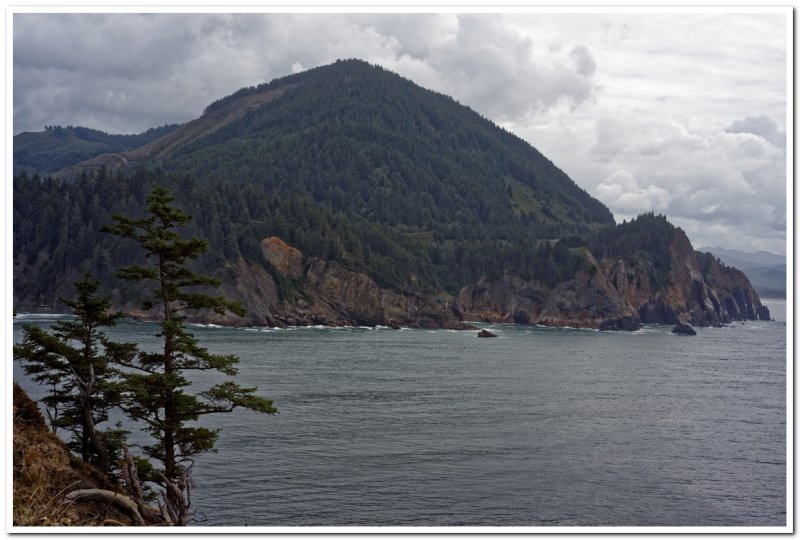 View from Cape Falcon