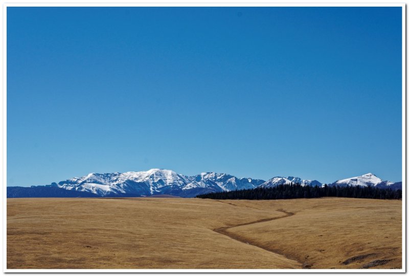 Continental Divide Trail near Lima, Montana