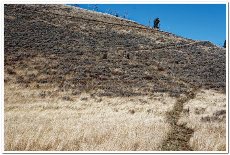 Continental Divide Trail near Lima, Montana