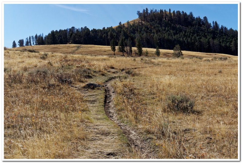 Crystal Creek Drainage, Yellowstone National Park