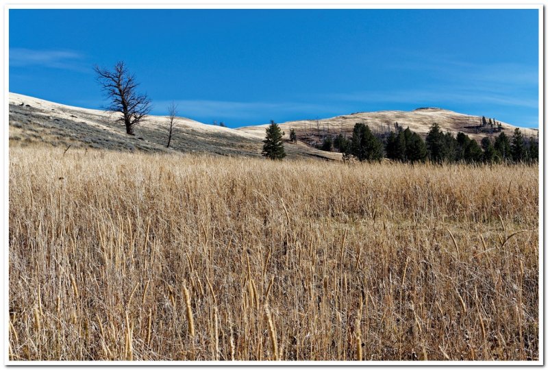 Crystal Creek Drainage, Yellowstone National Park