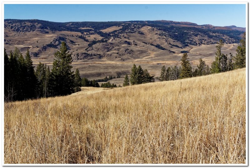 Crystal Creek Drainage, Yellowstone National Park