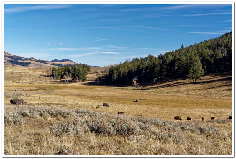 Crystal Creek Drainage, Yellowstone National Park