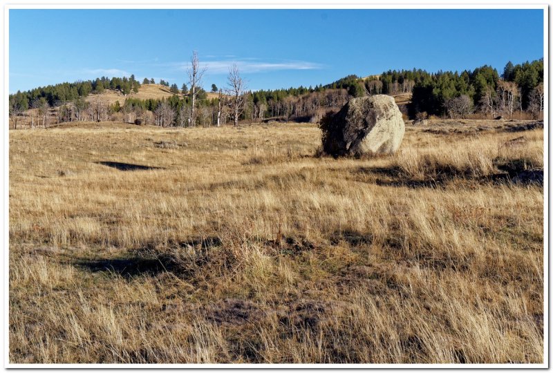 Crystal Creek Drainage, Yellowstone National Park