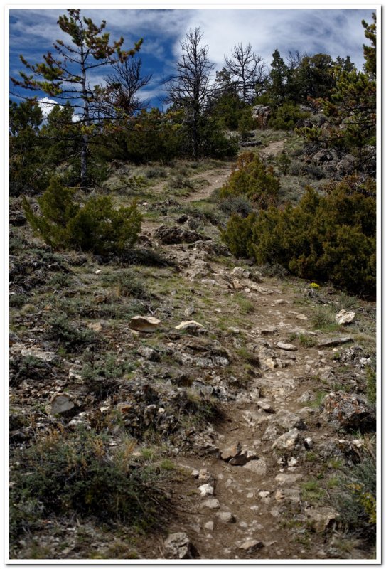 Hogback Ridge