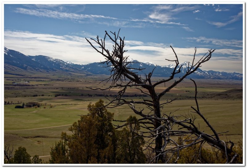 Hogback Ridge