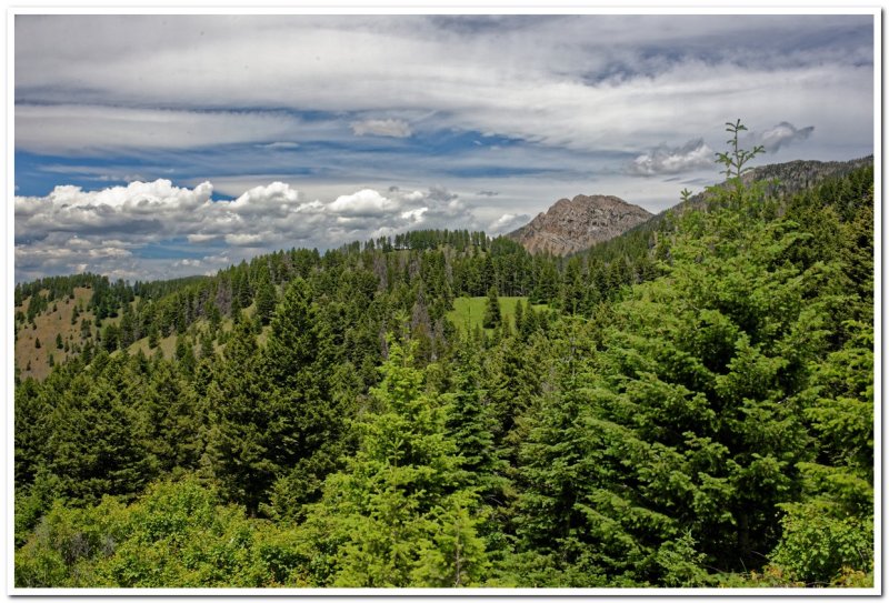 Truman Gulch