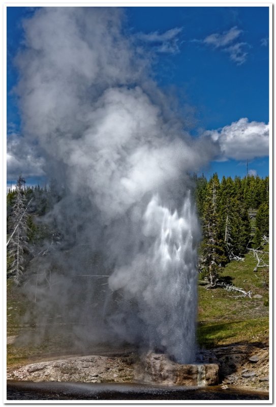 Riverside Geyser, Yellowstone National Park