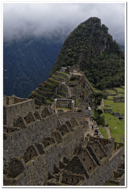 Machu Picchu