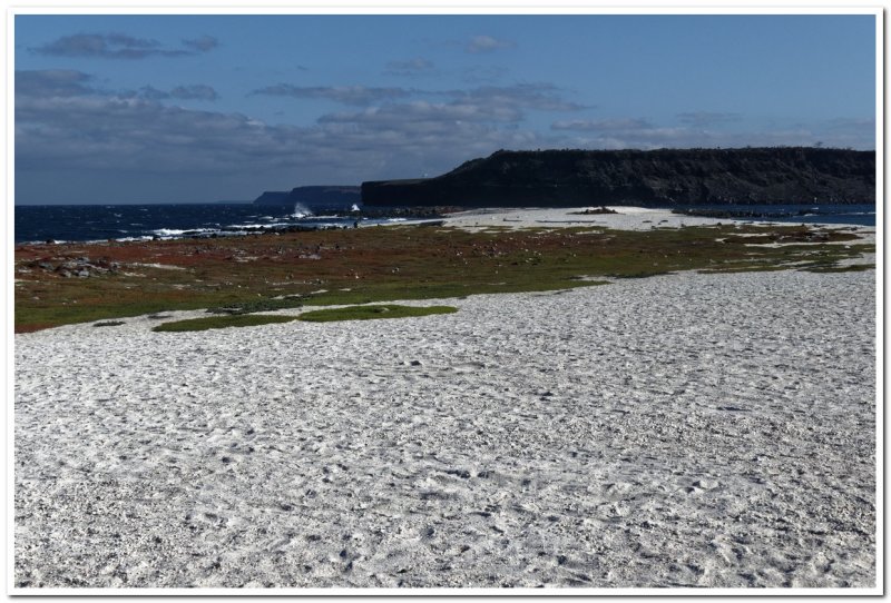 Mosquera Island