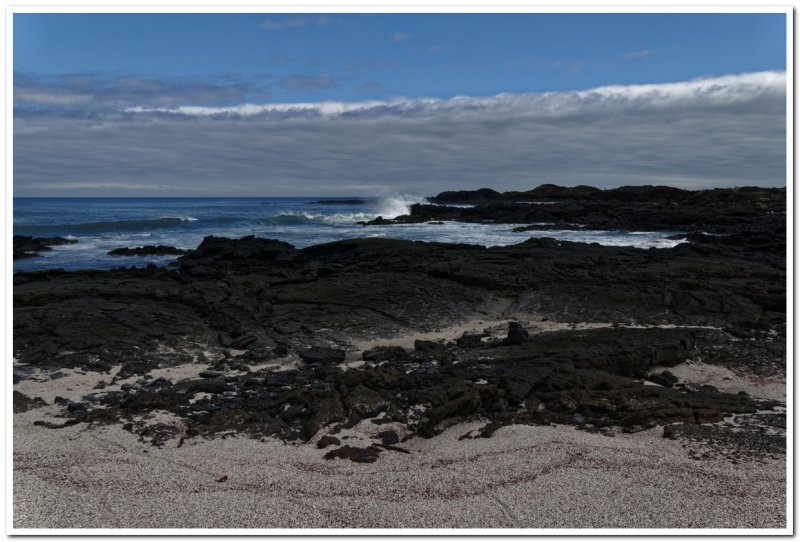 Punta Albemarle
