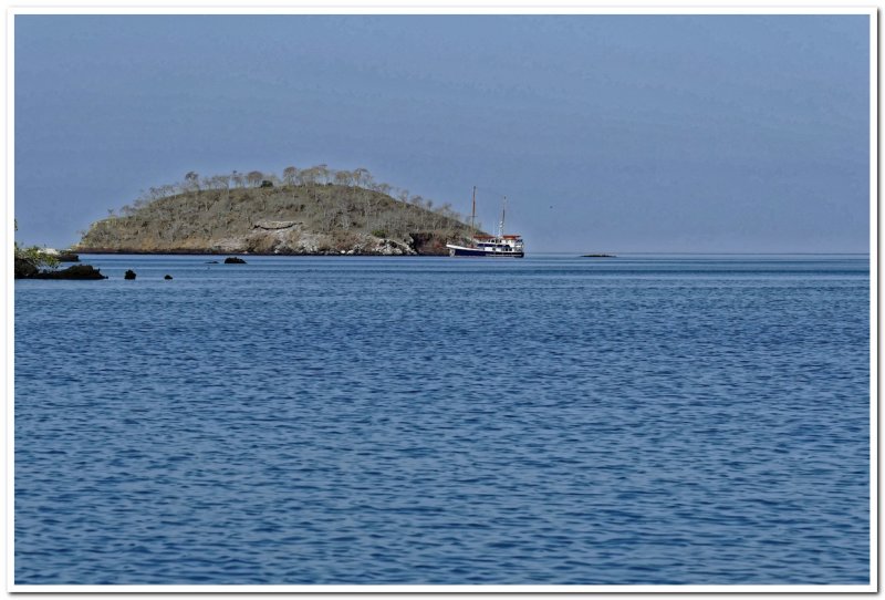 Samba at Anchor, Elizabeth Bay
