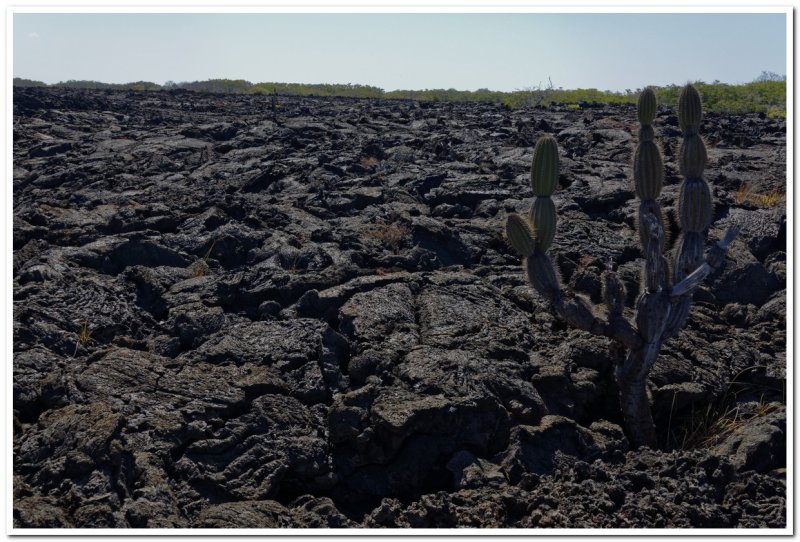 Lava Field Hike