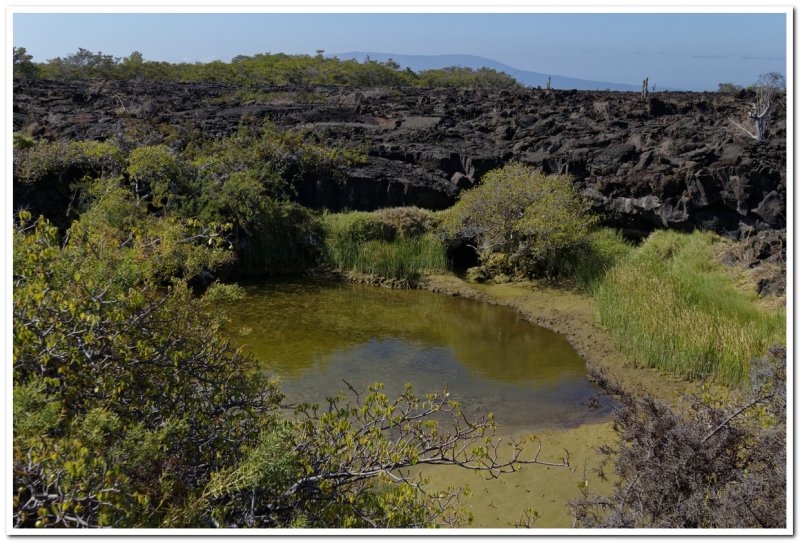 Lava Ponds