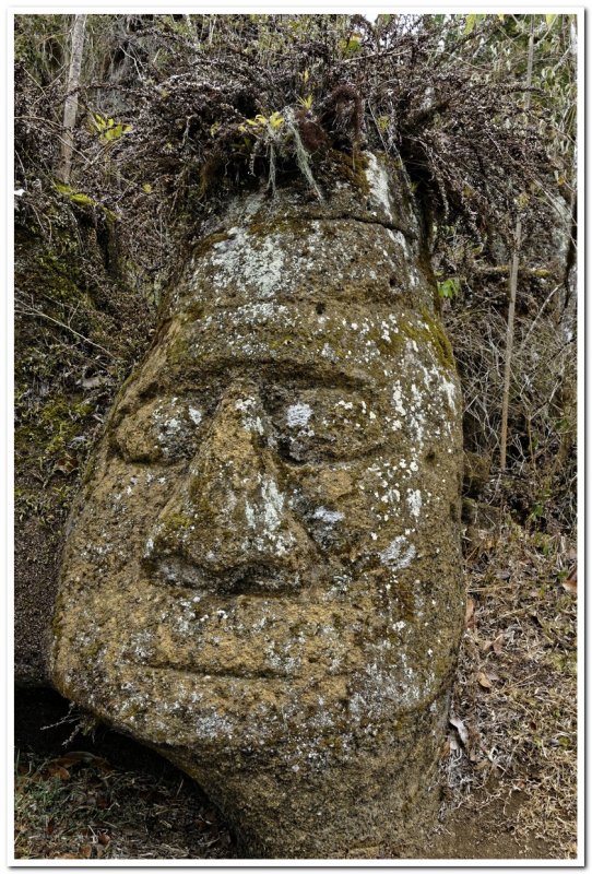Rock Carving, Fernandina