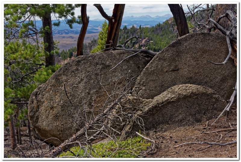 Continental Divide Trail north of Homestake Pass, Montana