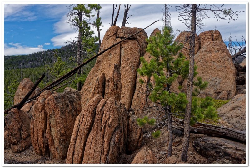 Continental Divide Trail north of Homestake Pass, Montana
