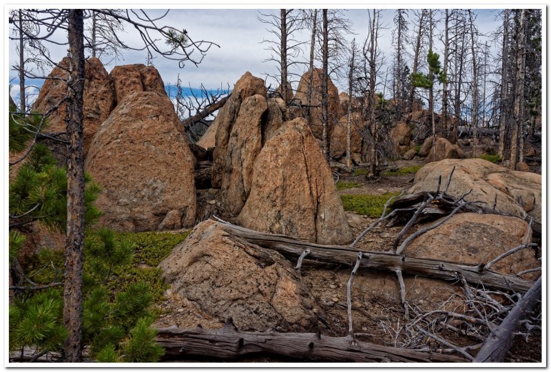 Continental Divide Trail north of Homestake Pass, Montana