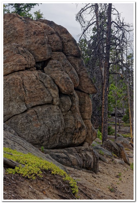 Continental Divide Trail north of Homestake Pass, Montana