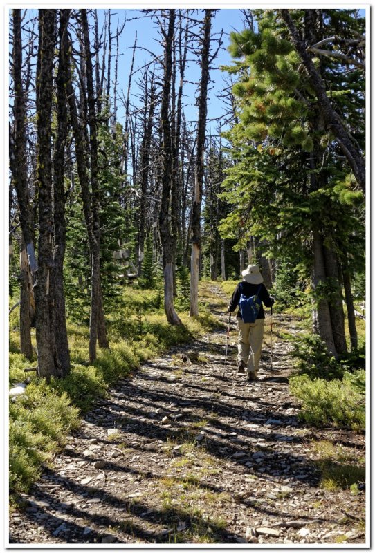 Duck Creek Pass, Big Belt Mountains, Montana
