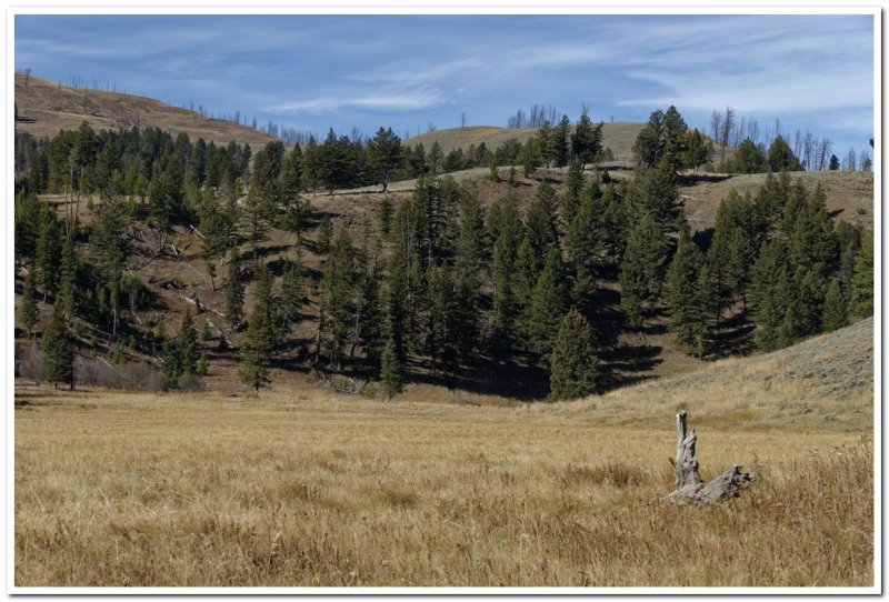Lost Lake Trail, Yellowstone National Park