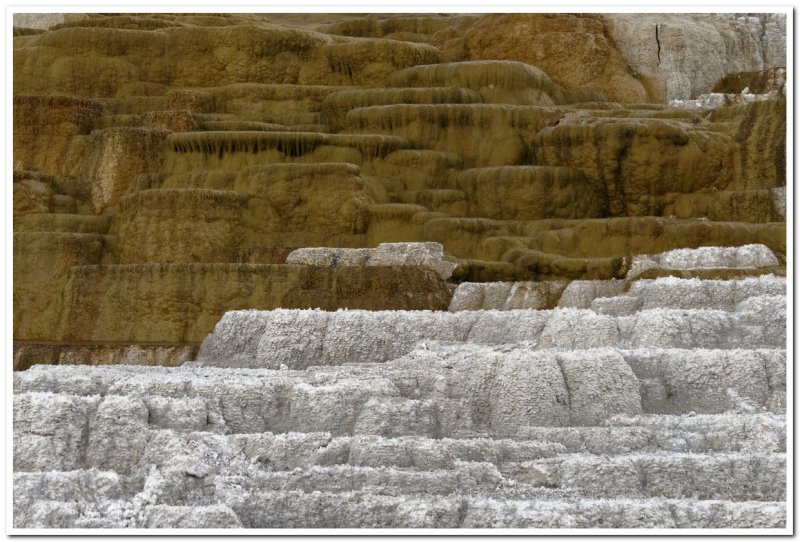 Pallette Spring, Yellowstone National Park