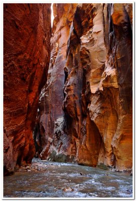 Virgin River Narrows 4, Zion National Park