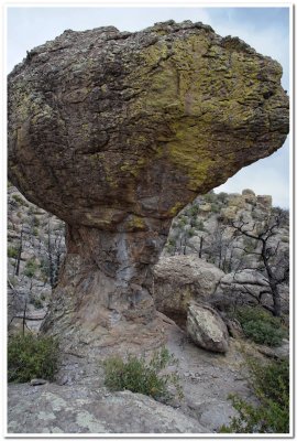 Mushroom Rock, Chirichahua National Monument
